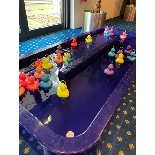 Peche aux canards - Location location - animakids.lu Luxembourg