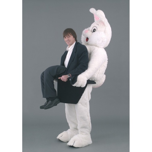 Mascotte Lapin - Location ou achat - animakids.lu Luxembourg